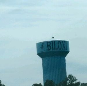 Meet your Posher, Trina